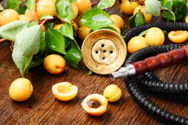 Oryantal sigara nargile ve olgun kayısı dalı ile natürmort. Shisha kavramı