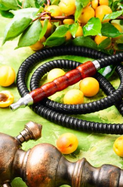 Oryantal sigara nargile ve olgun kayısı dalı ile natürmort. Shisha kavramı