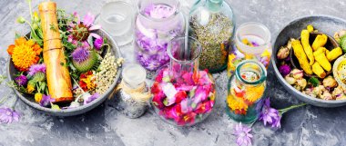 Çeşitli ham tıbbi bitkiler ve çiçekler. Alternatif Tıp kavramı