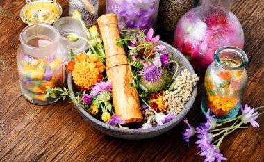 Çeşitli ham tıbbi bitkiler ve çiçekler. Alternatif Tıp kavramı