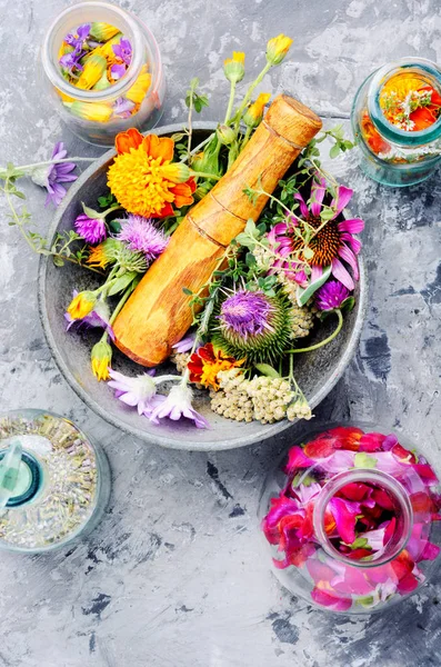 Diverses Herbes Fleurs Médicinales Crues Concept Médecine Alternative — Photo