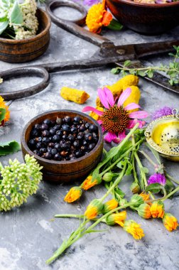 Çeşitli ham tıbbi bitkiler ve çiçekler. Alternatif Tıp kavramı