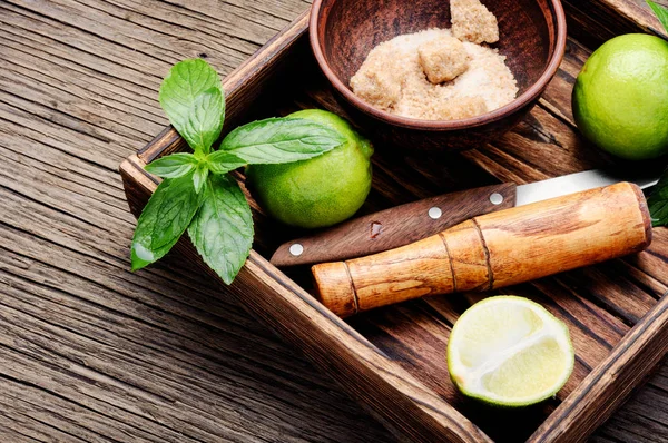 Ingredientes Mojito Suga Lima Menta Caña — Foto de Stock