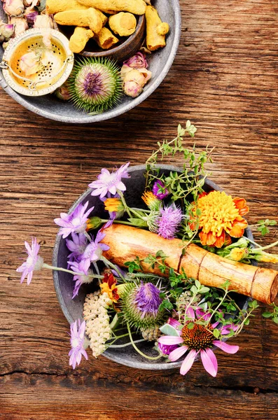 Olika Raw Medicinska Örter Och Blommor Alternativ Medicin Koncept — Stockfoto