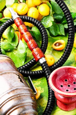 Nargile sigara aroma kayısı ile için. Kayısı shisha