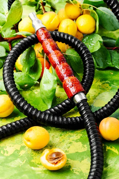 Oryantal sigara nargile ve olgun kayısı dalı ile natürmort. Shisha kavramı