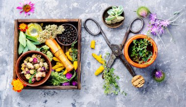 Çeşitli ham tıbbi bitkiler ve çiçekler. Alternatif Tıp kavramı