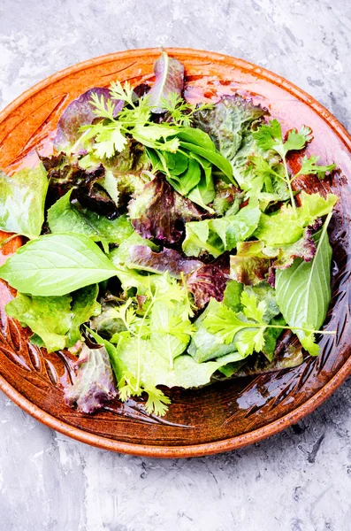 Frischer Salat Mit Gemischtem Gemüse Der Schüssel Grüner Salat Veganes — Stockfoto