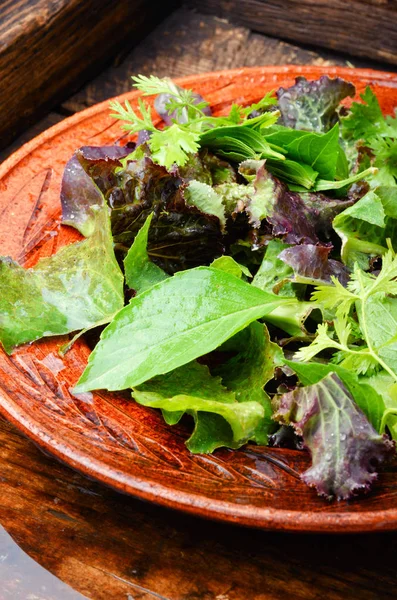 Frisse Salade Plate Met Gemengde Greens Groene Salade Vegan Food — Stockfoto