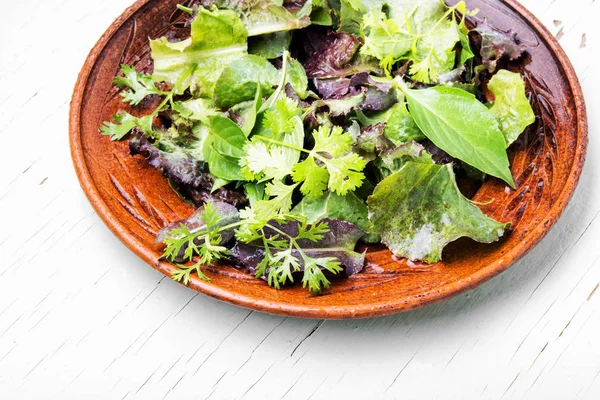 Mischen Sie Frische Blätter Für Detox Salat Grüner Salat Sauberes — Stockfoto