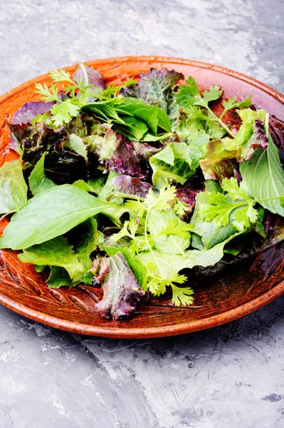 Frische Blätter Für Detox Salat Grüner Salat Veganes Ernährungskonzept — Stockfoto