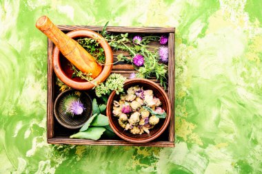 Çeşitli ham tıbbi bitkiler ve çiçekler. Alternatif Tıp kavramı. Bitkisel ilaç