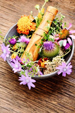 Çeşitli ham tıbbi bitkiler ve çiçekler. Alternatif Tıp kavramı. Bitkisel ilaç