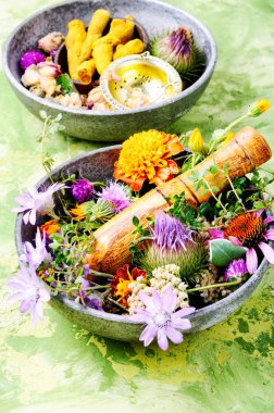 Çeşitli ham tıbbi bitkiler ve çiçekler. Alternatif Tıp kavramı. Çeşitli tıbbi tedavi edici otlar