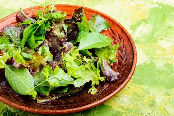 Salada Fresca Com Verduras Mistas Tigela Salada Verde Vegan Food — Fotografia de Stock