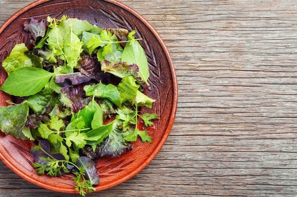 Mescolare Foglie Fresche Insalata Disintossicata Insalata Verde Mangiare Pulito Dieta — Foto Stock