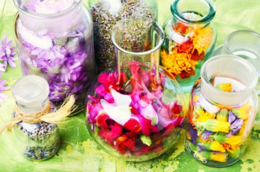 Çeşitli ham tıbbi bitkiler ve çiçekler. Alternatif Tıp kavramı. Çeşitli tıbbi tedavi edici otlar