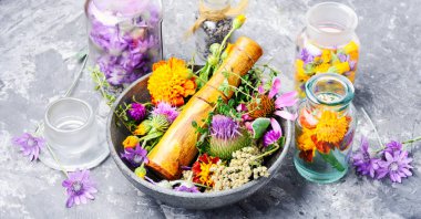 Çeşitli ham tıbbi bitkiler ve çiçekler. Alternatif Tıp kavramı. Çeşitli tıbbi tedavi edici otlar