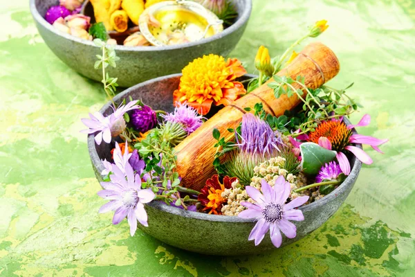 な生の薬草と花です 代替医療のコンセプトです 各種天然薬草 — ストック写真