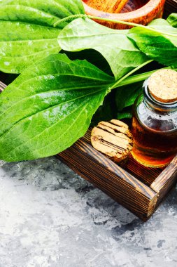 Kutusunda bir harç ve karışımı ile büyük muz yaprağı. Dar yapraklı sinirli ot