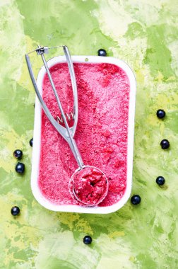 Yaz dondurma siyah frenk üzümü uzuvlar. Dondurulmuş böğürtlen sorbe
