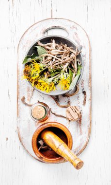 Şifa İksiri Inula kök. Alternatif Tıp kavramı