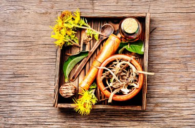 Şifa İksiri Inula kök. Bitkisel naturopathic tıp