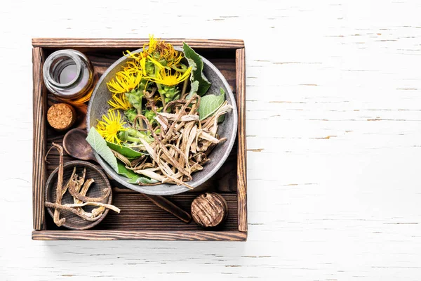 Helende Elixer Vanuit Hoofdmap Van Alant Kruiden Geneeskunde Van Naturopathic — Stockfoto