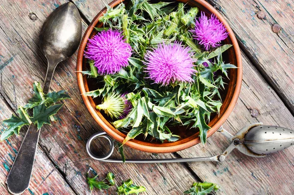 Wild Healing Herbs Thistle Mortar Herbal Medicine — Stock Photo, Image