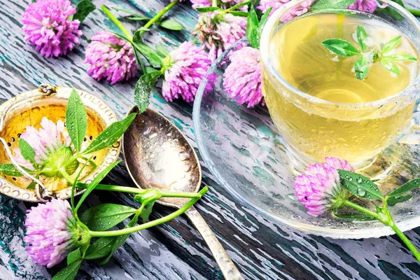 Чашка Травяного Чая Дикой Clover Herbal Чай — стоковое фото