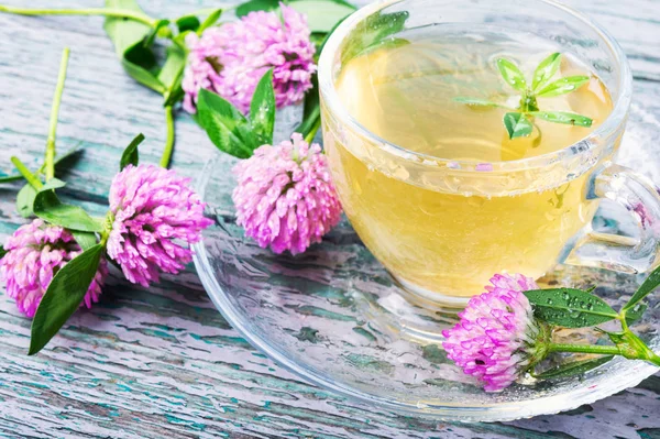 Чашка Травяного Чая Дикого Клевер Азиатский Травяной Чай — стоковое фото