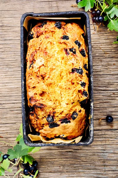 Loafes Fresh Baked Bread Black Currant Berries Ireland Bread — Stock Photo, Image