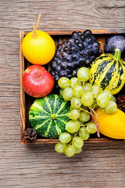 Fundo Outono Com Abóbora Maçãs Ameixa Uvas Conceito Natureza Outono — Fotografia de Stock