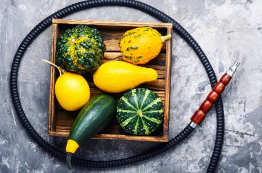 Aroma relax için kabak ile Doğu shisha nargile. Kabak shisha
