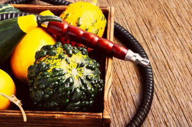 Aroma relax için kabak ile Doğu shisha nargile. Kabak shisha