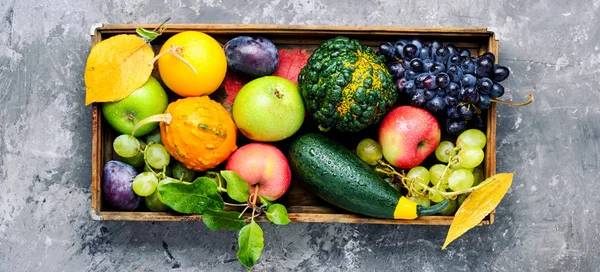 Fundo Outono Com Abóbora Maçãs Ameixa Uvas Conceito Outono Colheita — Fotografia de Stock