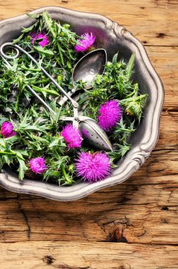 Vahşi şifalı otlar thistle harç içinde. Bitkisel ilaç. Herbalism