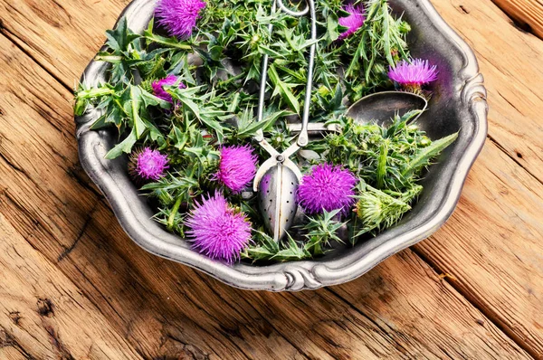 Wild Healing Herbs Thistle Mortar Herbal Medicine Herbalism — Stock Photo, Image