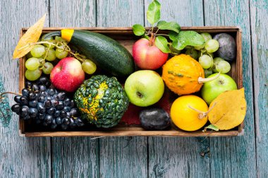 Kabak, elma, Erik ve üzüm ile sonbahar arka plan. Sonbahar kavramı. Hasat