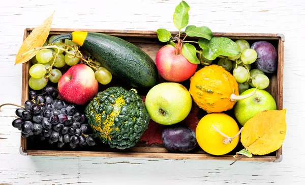 Autumn background with pumpkin, apples,plum and grapes.Autumnal concept.Harvesting