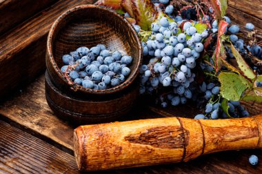 Bitkisel Tıp taze meyveleri şifa. Sağlık Diyet. Herbalism