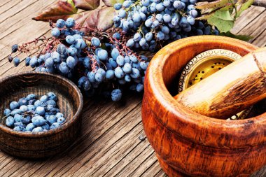 Bitkisel Tıp taze meyveleri şifa. Sağlık Diyet. Herbalism