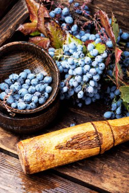 Çilek bitkisel tıp şifa ile harç. Sağlık Diyet. Herbalism.Herbalist