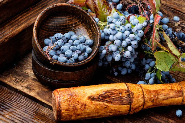 Curación Bayas Frescas Medicina Herbaria Dieta Salud Herbalism — Foto de Stock