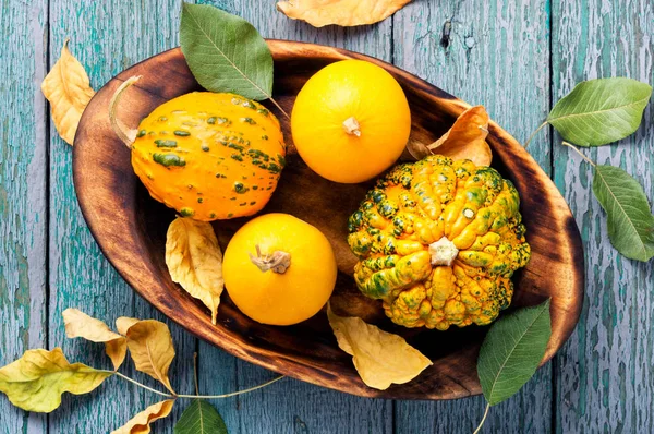 Pumpkins and fallen leaves on wooden background.Autumn nature concept