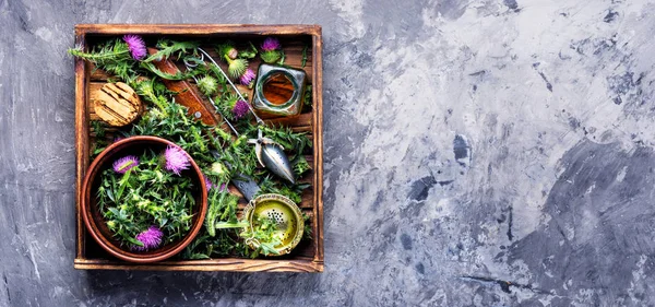 Yabani şifalı otlar havanda devedikeni yapar. Bitkisel ilaçlar..