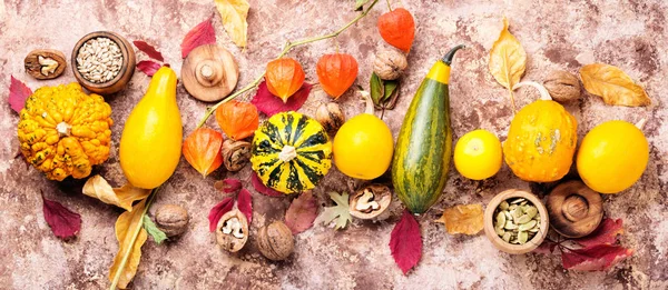 Bellissimo Autunno Sfondo Stagionale Con Zucche Autunno Concetto Natura — Foto Stock