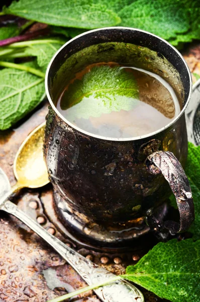 Brewed Delicious Herbal Tea Sage Retro Background — Stock Photo, Image