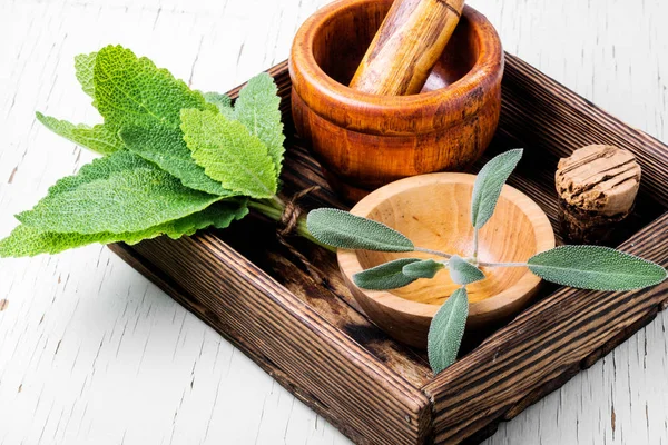 Sage,healing herbs in wooden box on table.Herbal medicine.Healing herbs