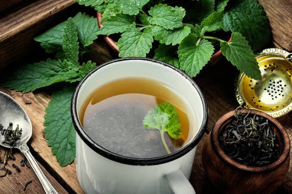 Свежий Натуральный Зеленый Мелисса Травяной Чай Cup Ehealthy Травяной Чай — стоковое фото